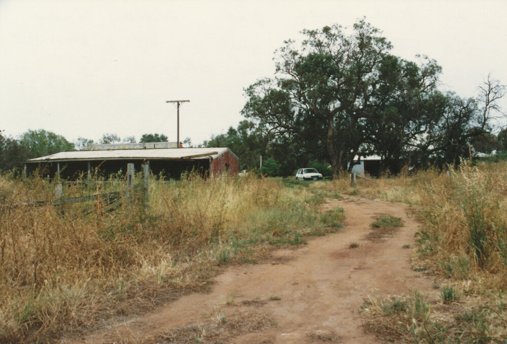Willow Grove Homestead