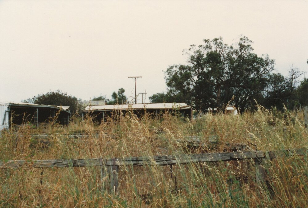 Willow Grove Homestead