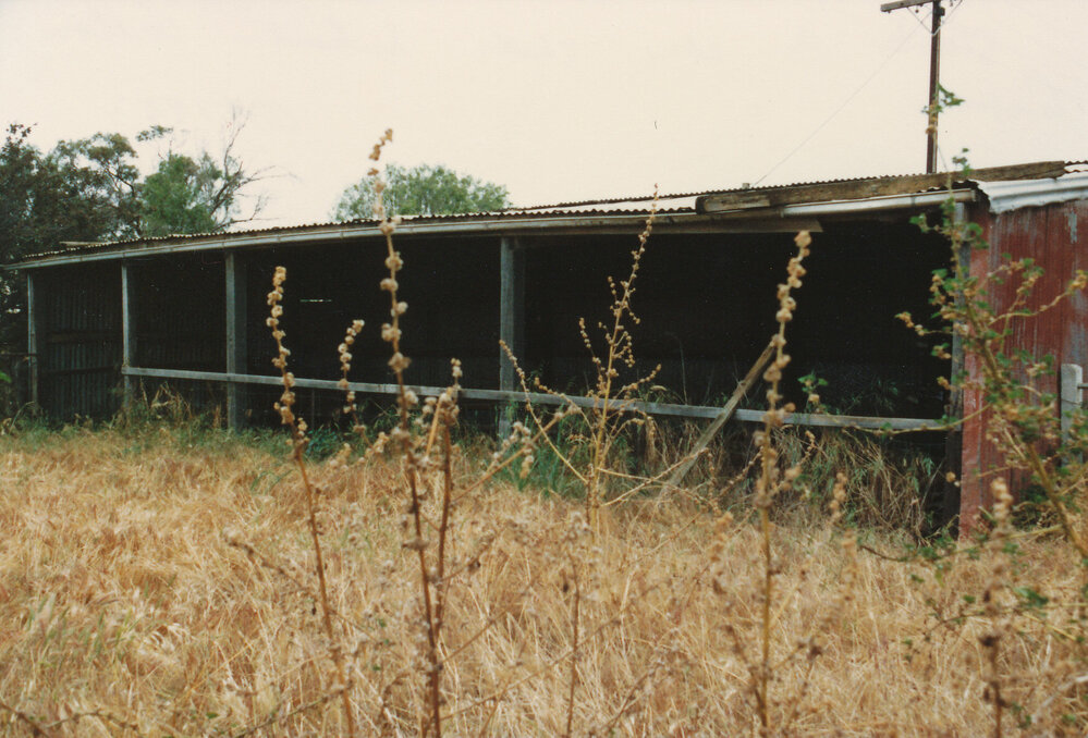 Willow Grove Homestead