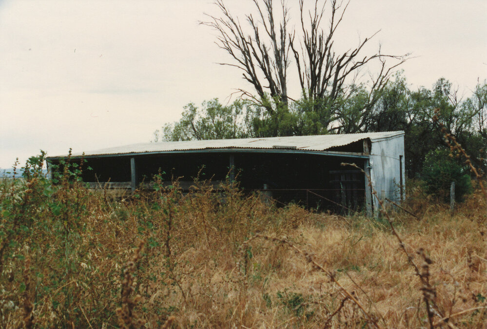 Willow Grove Homestead