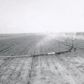 Irrigation, Virginia Area