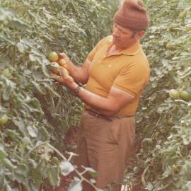 Velcheff's Market Garden
