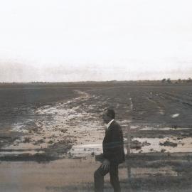 Looking West from Main North Road