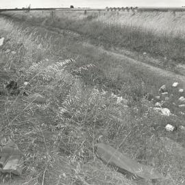 Fradd Road, Angle Vale