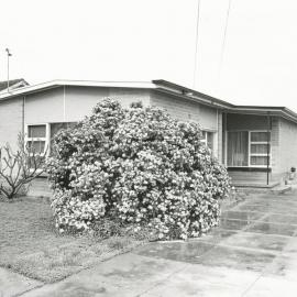 7 Curnow Street, Davoren Park