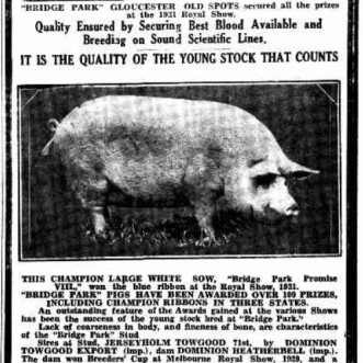 James William Aldridge