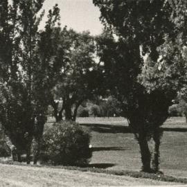 Fremont Park, Elizabeth: 1977