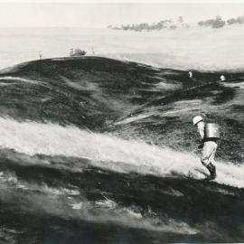 Elizabeth Park grass fire: 1964