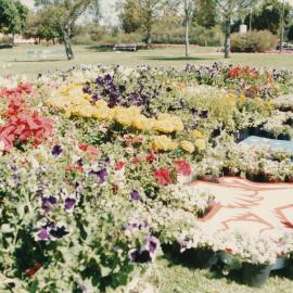 Garden Display on Windsor Green