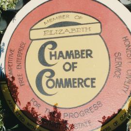 Garden Display on Windsor Green