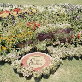 Garden Display on Windsor Green