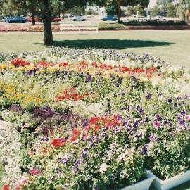 Garden Display on Windsor Green