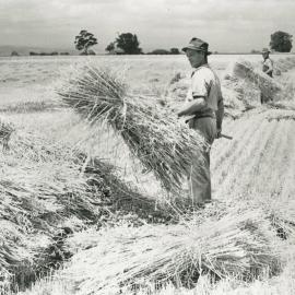 Worden Farm, Angle Vale