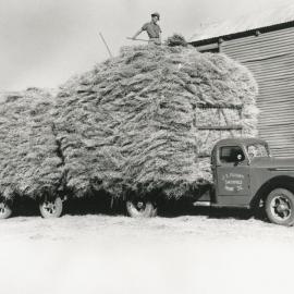 Harold Frisby Carting Hay