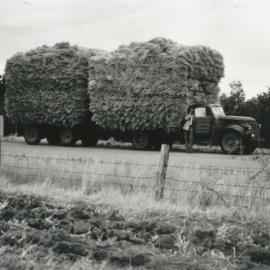 Harold Frisby Carting Hay