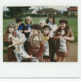 Elizabeth Grove Brownies