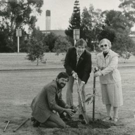 International Year of the Tree