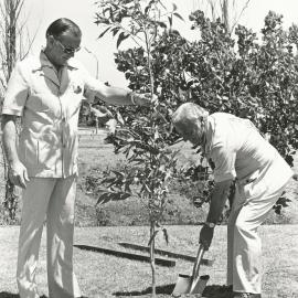 Tree Planting Campaign