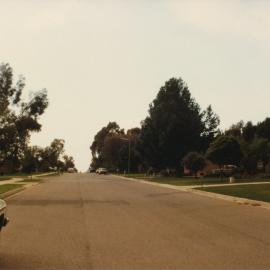 Tidy Town Competition: 1981