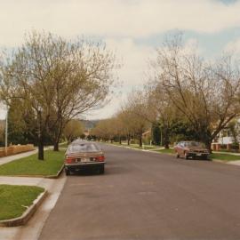 Tidy Town Competition: 1981