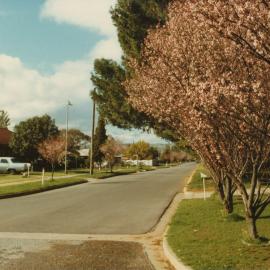 Tidy Towns Competition: 1981