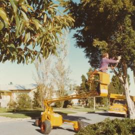 Branch Clipper Machine