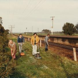 Tidy Town Competition: 1981
