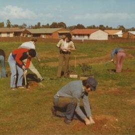 Tidy Town Competition: 1981