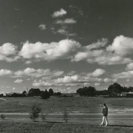 Tree Planting Campaign