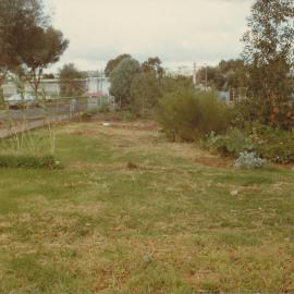 Tidy Town Competition: 1981