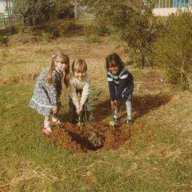 Tree Planting 