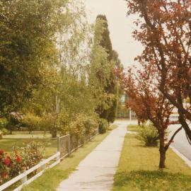 Stockton Street, Elizabeth