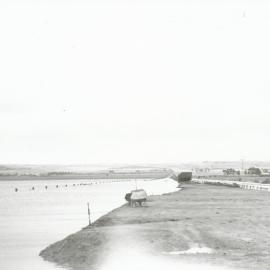 Davoren Road Railway Floods