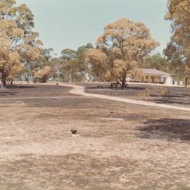 Henley's Property, One Tree Hill