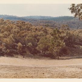 Fire at One Tree Hill