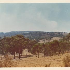 Boundary Road Fire Damage