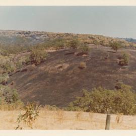Kelly's Hill Road Fire