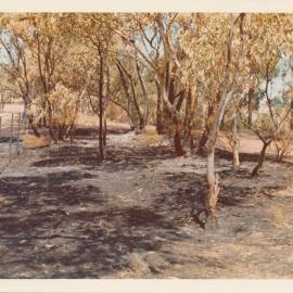 Kelly's Hill Road Fire