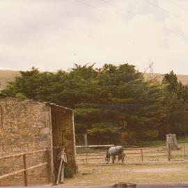Gould Creek Homestead