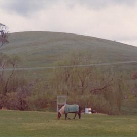 Gould Creek Homestead