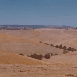 Gould Creek Homestead