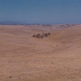 Gould Creek Homestead