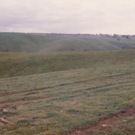 Gould Creek Homestead