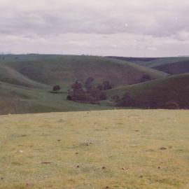 Gould Creek Homestead