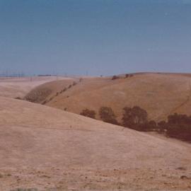 Gould Creek Homestead