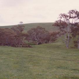Gould Creek Homestead