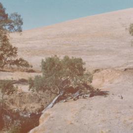 Gould Creek Homestead