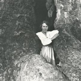 Little Para River Reservoir Area