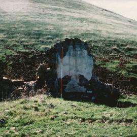Ruins near Hallett's Cottage