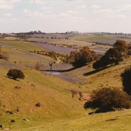 Cornishman's Hill Road